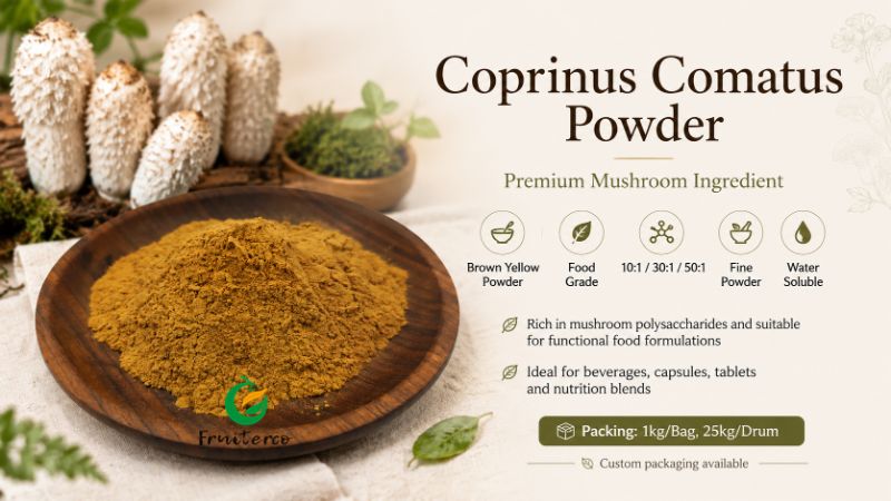 Coprinus Comatus Powder Coprinus Comatus Powder