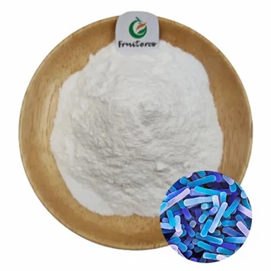 Púdar Lactobacillus bulgaricus