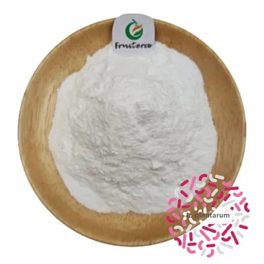 Púdar plantarum lactobacillus