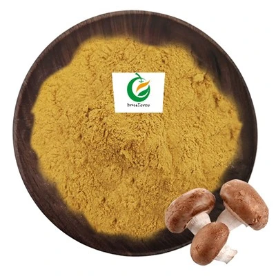 Púdar Sliocht Muisiriún Shiitake